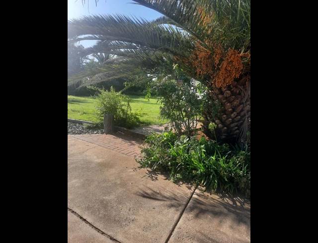 3 BEDROOM PROPERTY TO RENT IN STRUISBULT